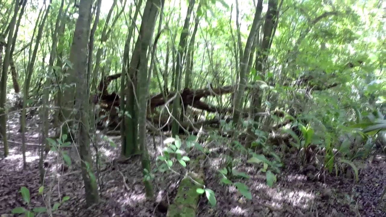 Exploring Diego Garcia GoPro