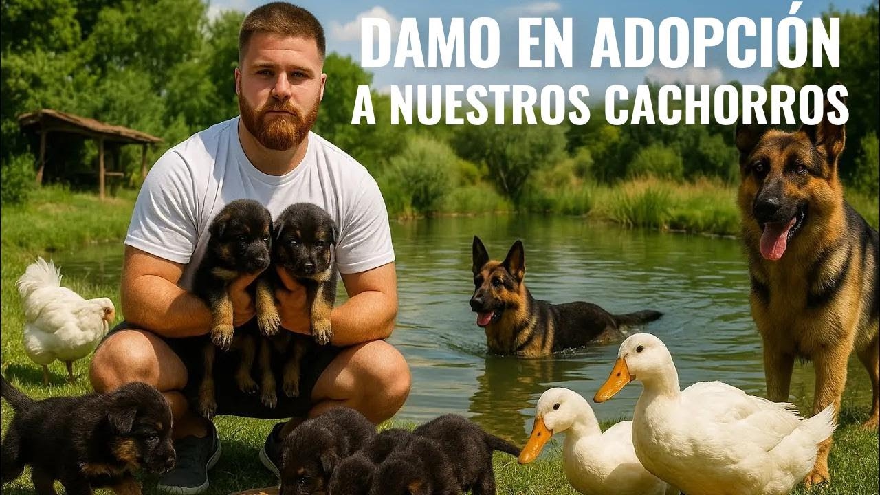 ¡Saqué a los cachorros de pastor alemán por primera vez y sus reacciones fueron increíbles!