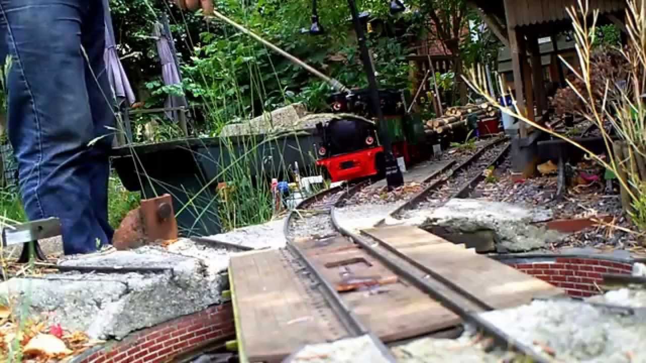 Gartenbahn Echtdampf - Lgb Aster Frank S. unterwegs mit einem Holzzug