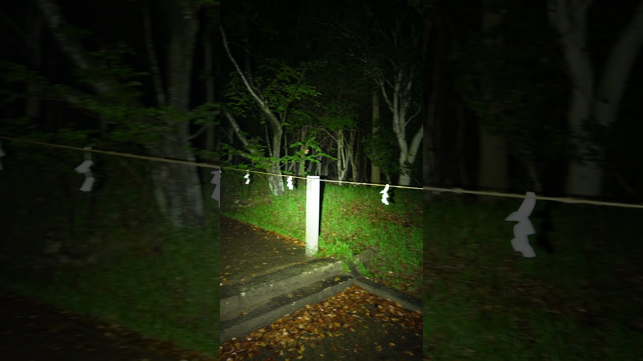 NITECORE P20iX #flashlight