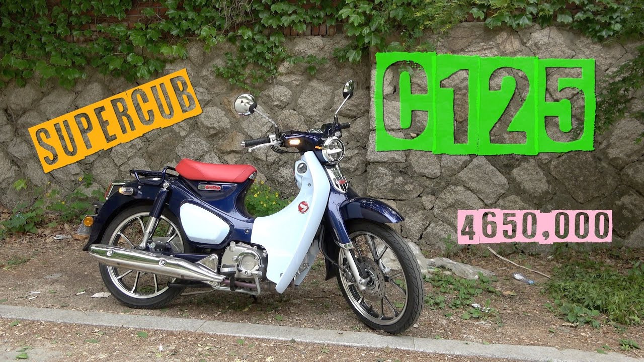 혼다 커브 C125 시승기(Honda Cub C125 test ride)