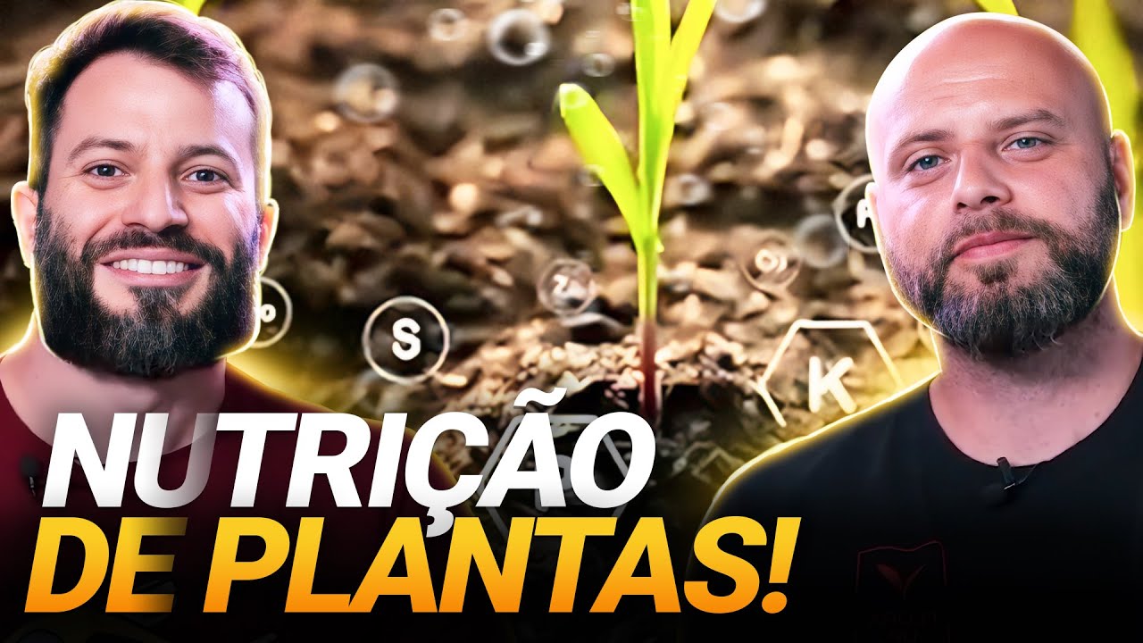 ENTENDA TUDO SOBRE NUTRIÇÃO DE PLANTAS PARA O SEU AQUÁRIO!
