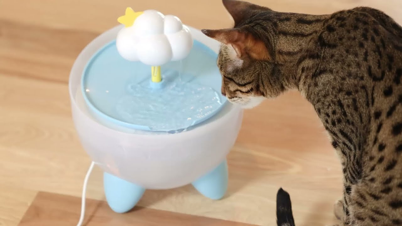 Catstages Purrfect Rain Cat Water Fountain