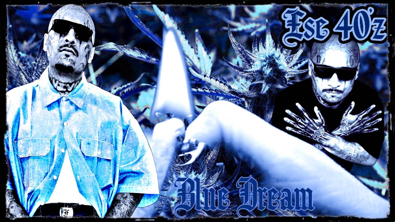 Ese 40'z - Blue Dream