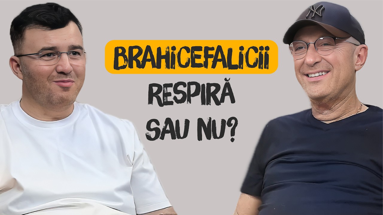 Episodul 1 | Brahicefalicii - Respiră sau nu? | cu Dr. Constantin Ifteme