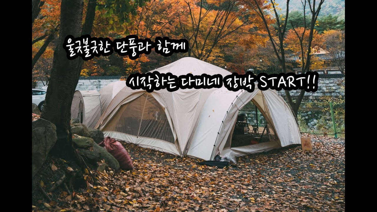 장박 첫날부터 우중캠핑이라니! 그래도 즐겁자나? 다미네 장박이야기 시작합니다 | 클래식티피 | 아문플러스 | 청도구름아래오토캠핑장