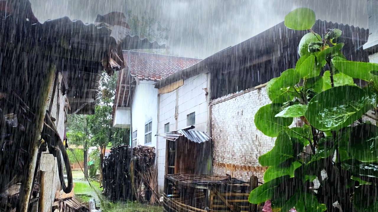 Calm Village Rain Evening | Soft Rural Rain Ambience for Peaceful Feelings