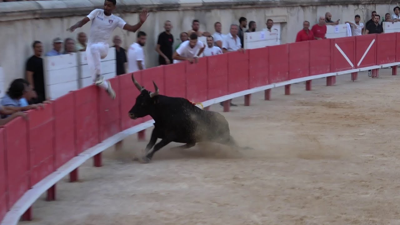 best of  2024 VOL 1 (trophée des as )