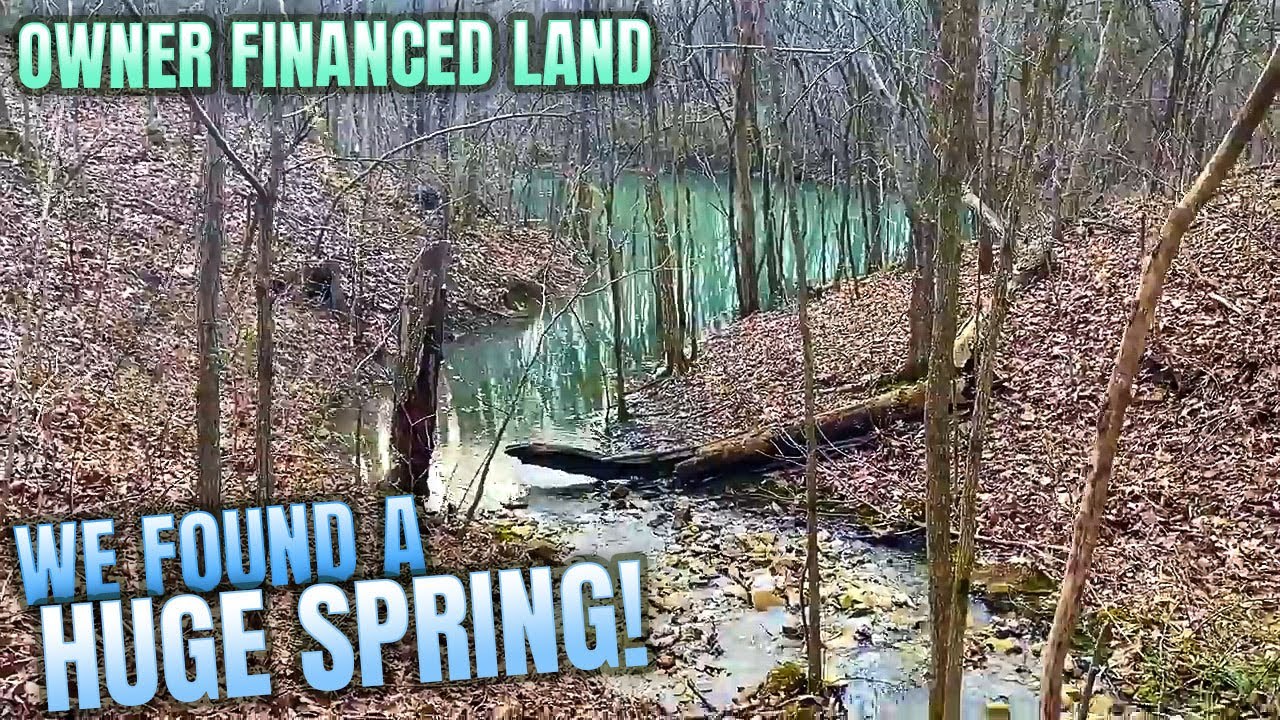 We discover a HUGE SPRING on this Owner Financed Land for Sale! Only $1,500 Down! AMAZING!
