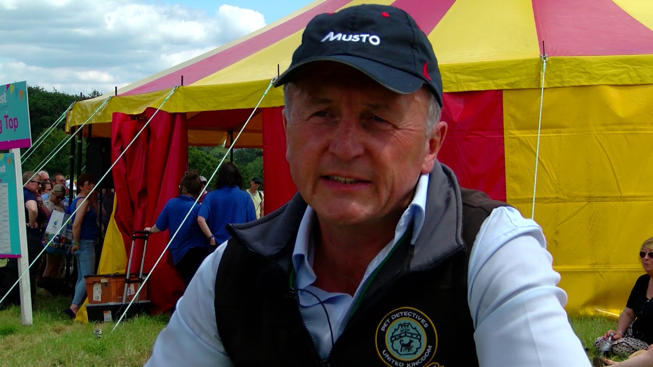 Molly The Cat Detection Dog!