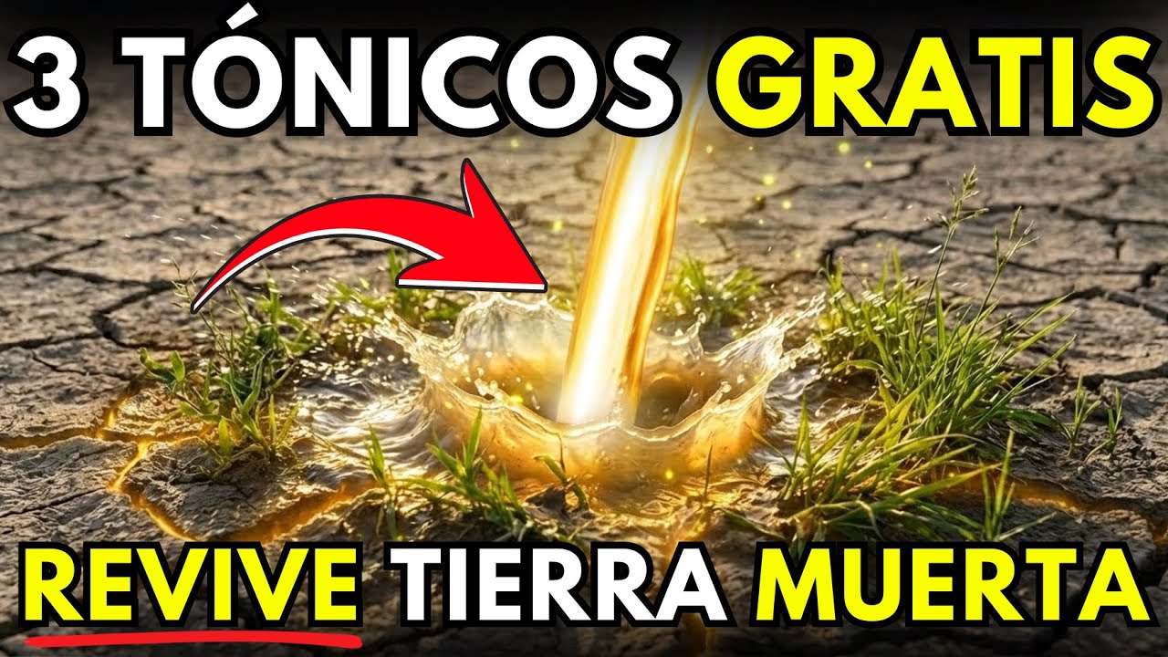 Deja de comprar fertilizante: 3 tónicos gratis para revivir la tierra muerta
