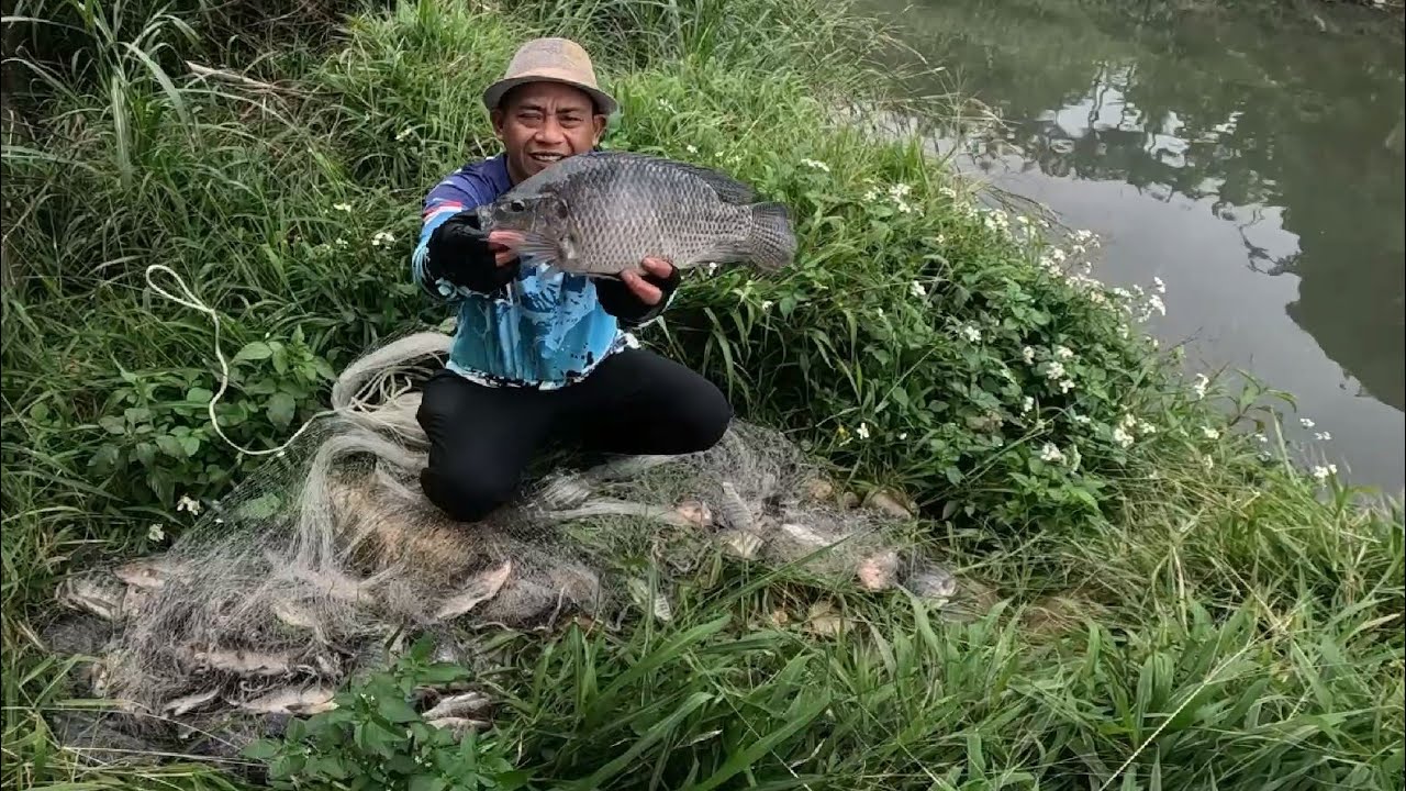 Cuma jala dari pinggiran hasilnya sangat memuaskan || amazing net fishing 