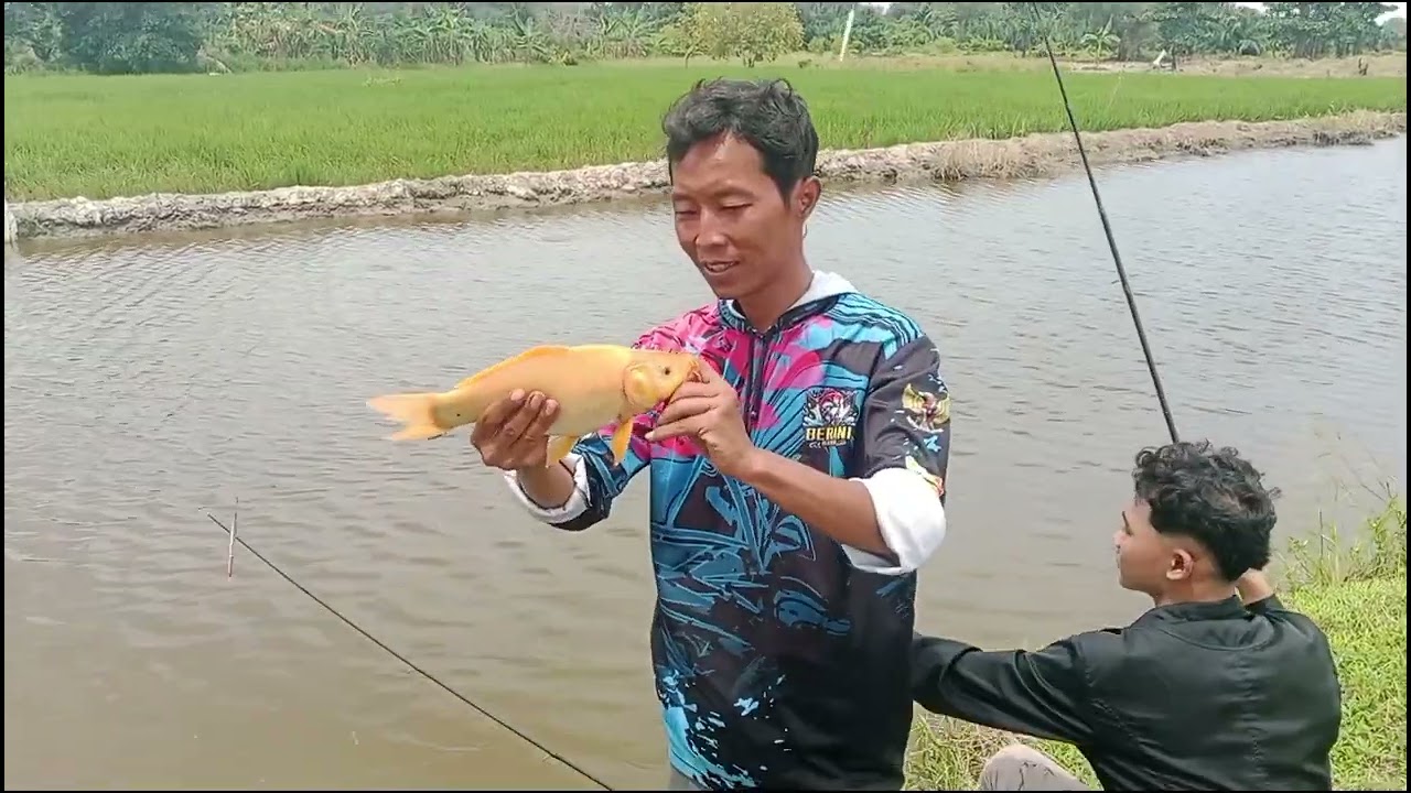 @Buka perdana klm Rony/Santo rawa badak sungai udang tgl.08.03.2026.jm 05 pagi tkt Rp.100