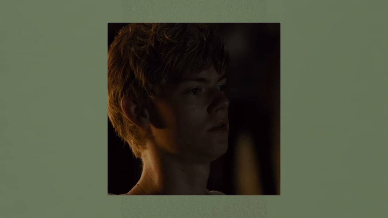 y/n and newt fall in love with each other || the maze runner soft playlist