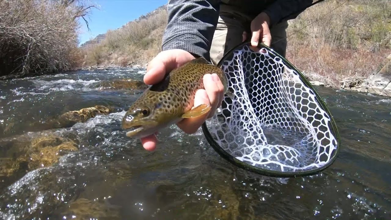 We took the ORVIS Recon Nymphing Rod for a spin. NICE!!!