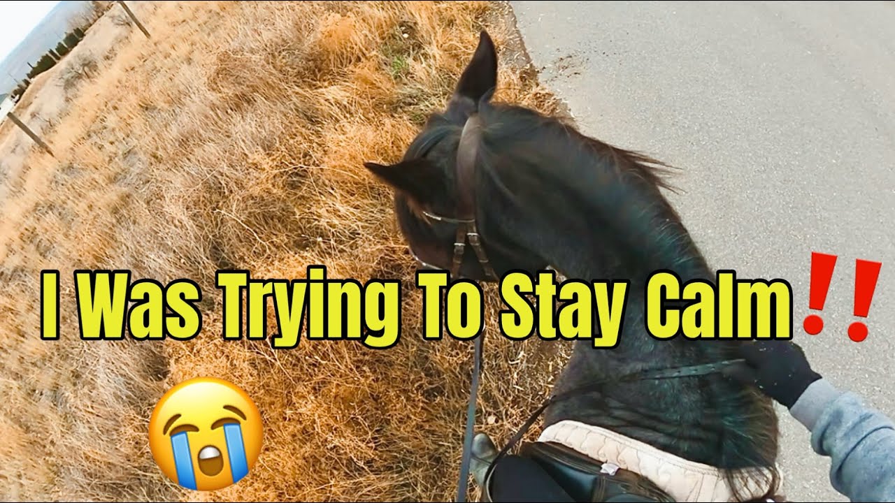 GoPro POV: Our FIRST Trail Ride In Over a YEAR! Spoiler: it was a bit more dramatic than I expected…