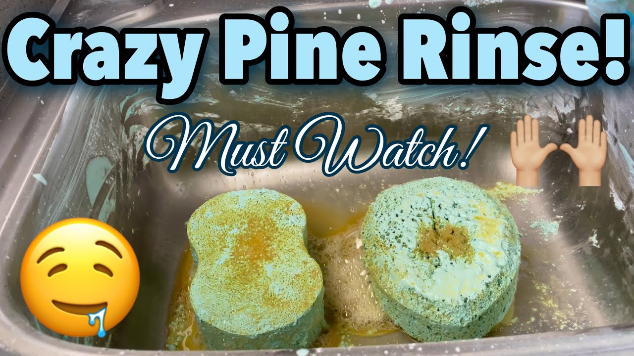 Asmr Paste Rinsing- Sponges FILLED With Paste RINSED W/ Xtra Pine 🧡& Fresh Water 💦 Several Times