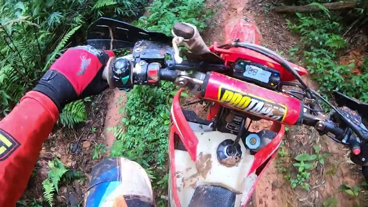 Trilha em campo magro só carreros novo 