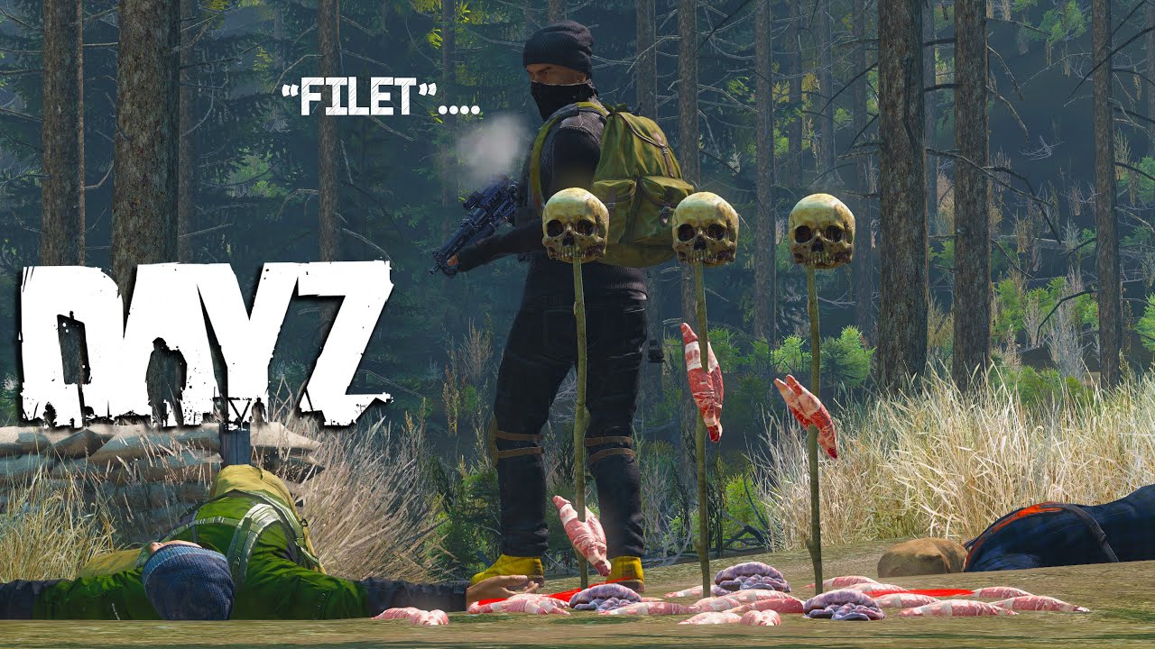 ВСТРЕЧИ в DayZ.. #30