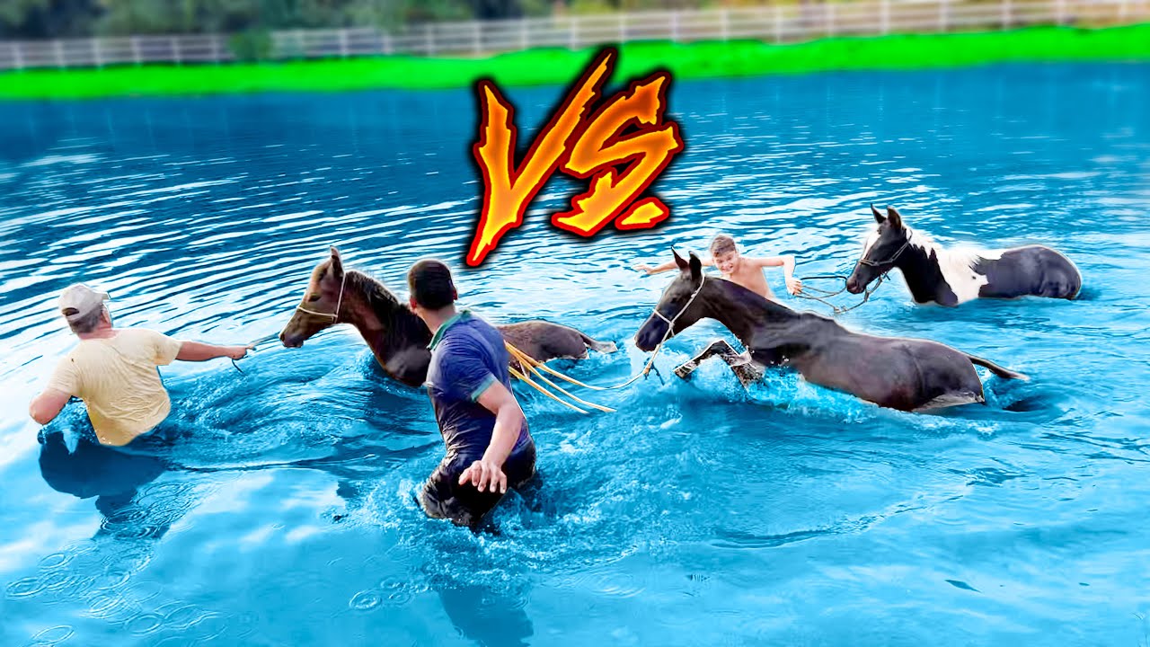 CORRIDA com os POTROS na LAGOA FUNDA