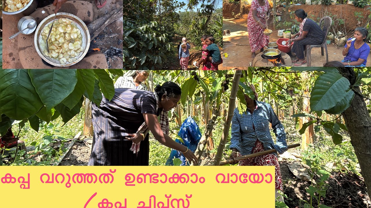 അടിപൊളി കടയിൽ നിന്നും മേടിക്കുന്ന പോലെതന്നെ വീട്ടിലുംഉണ്ടാക്കാം കപ്പചിപ്സ് കണ്ടാലോ 