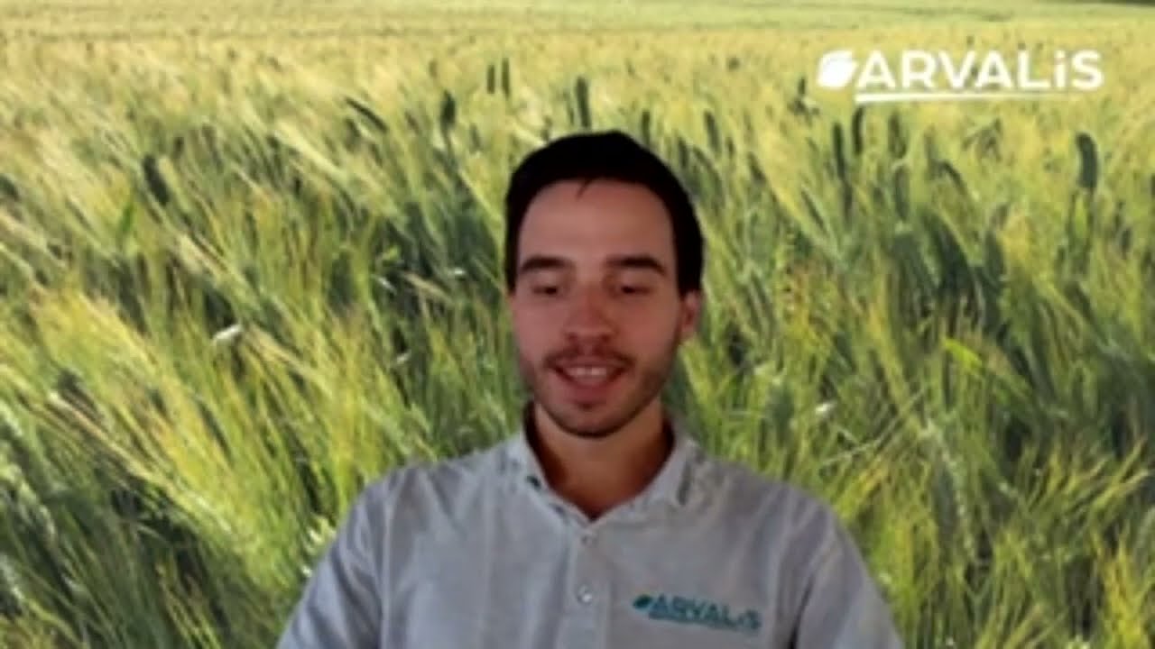 Récolte 2023 : résultats des variétés blé tendre en AB dans le Sud-Ouest - ARVALIS.fr