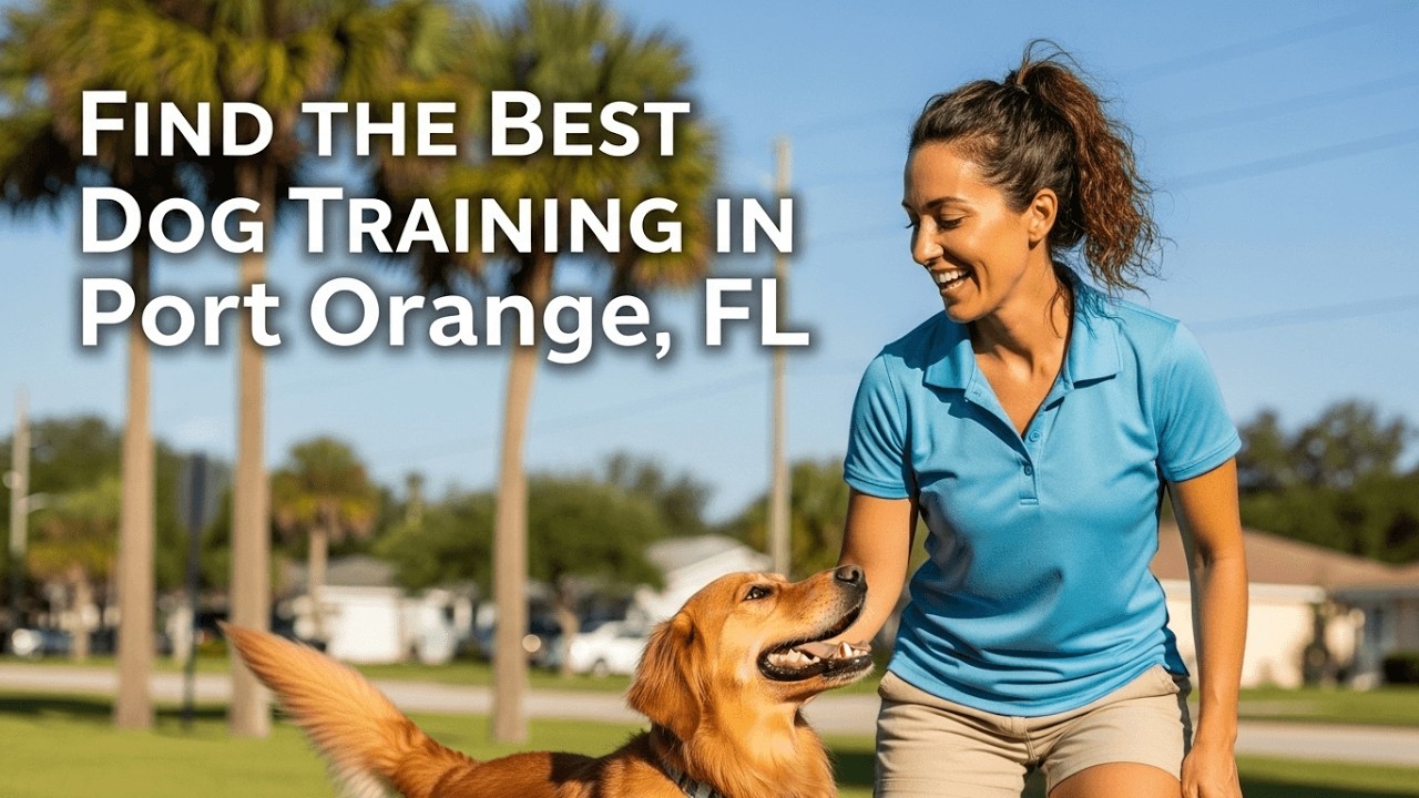 Find the Best Dog Training in Port Orange Florida