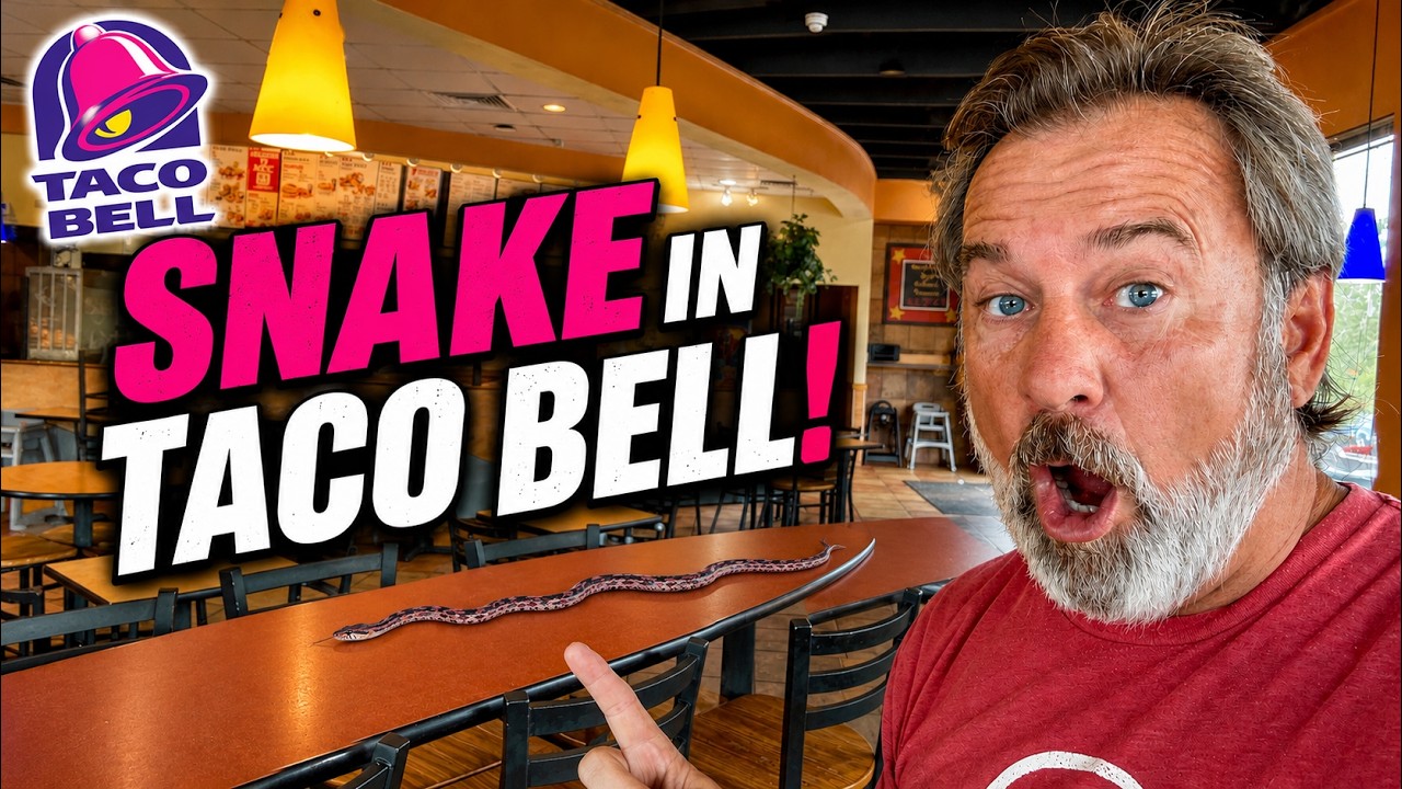 SNAKE IN TACO BELL! | RidgeLife To The RESCUE! | Rambling