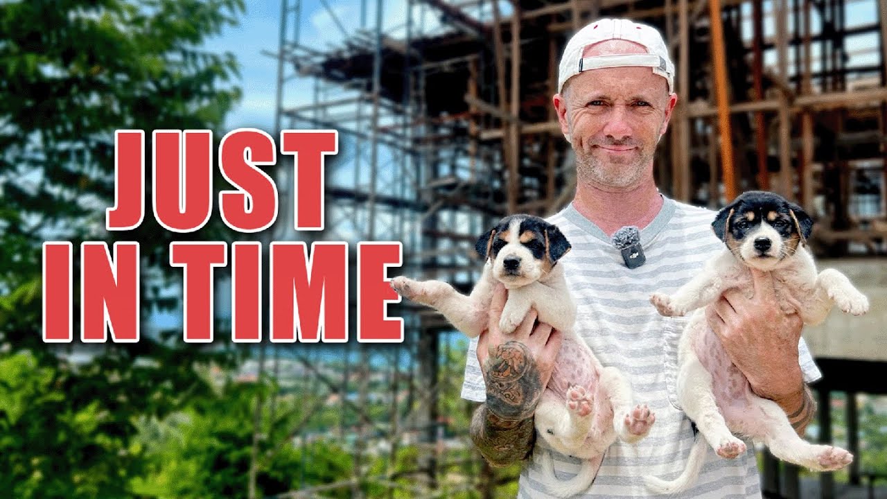 Rescuing 2 Street Dog Puppies From Building Site