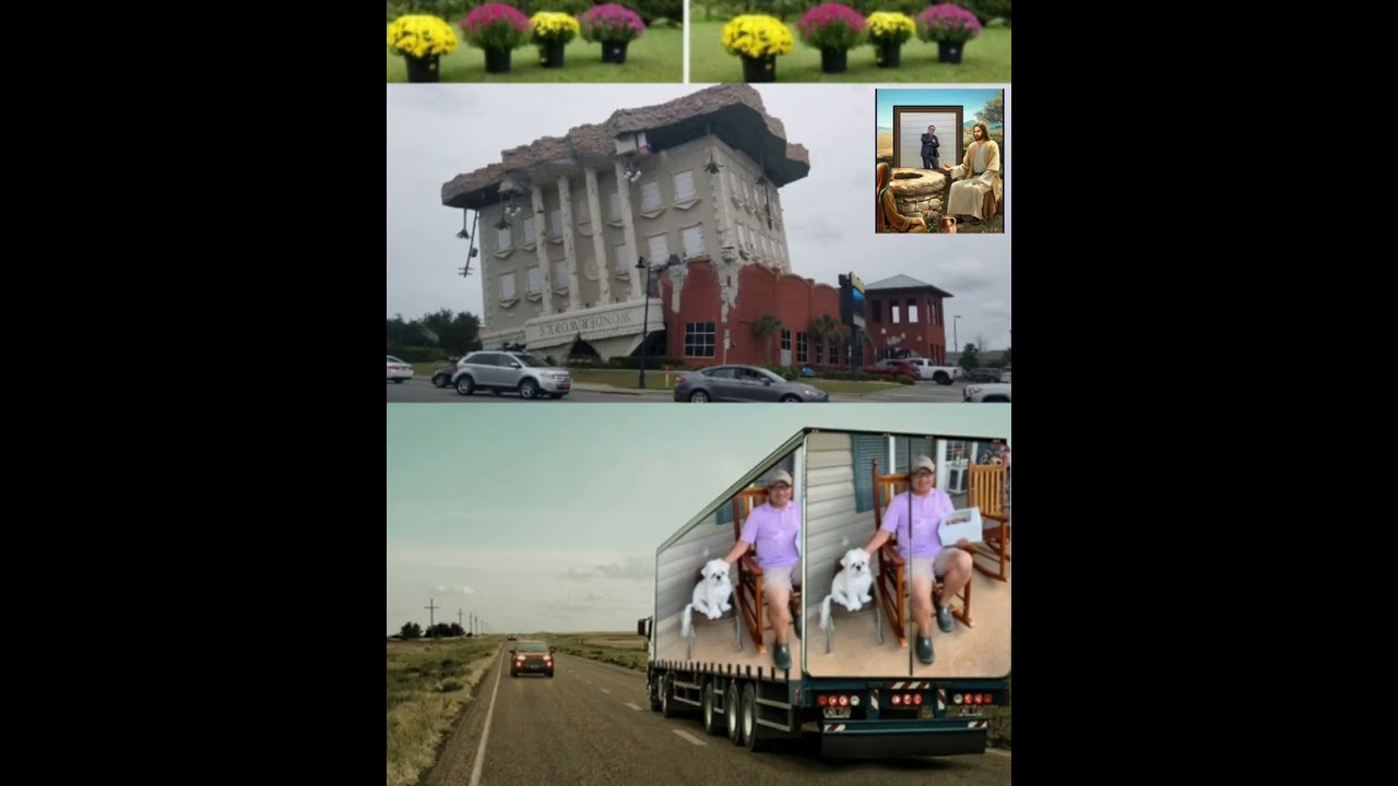 Tebchaw Ameskas luas caiv tas zoo tshaaj plawg