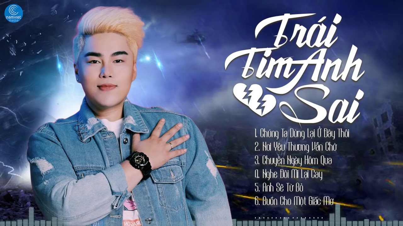 Album Trái Tim Anh Sai   Nguyễn Đình Vũ   Tuyển Chọn Bài Hát Hay Nhất của Nguyễn Đình Vũ
