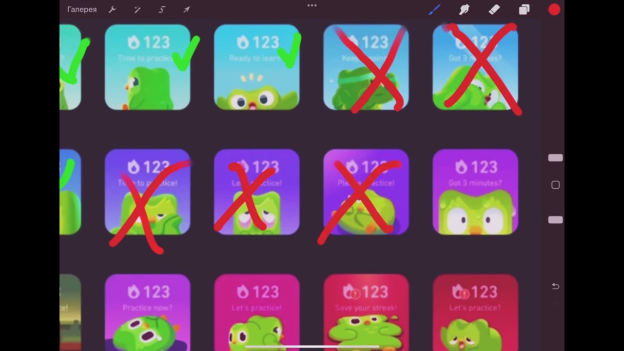 All of the Duolingo widgets that I have
