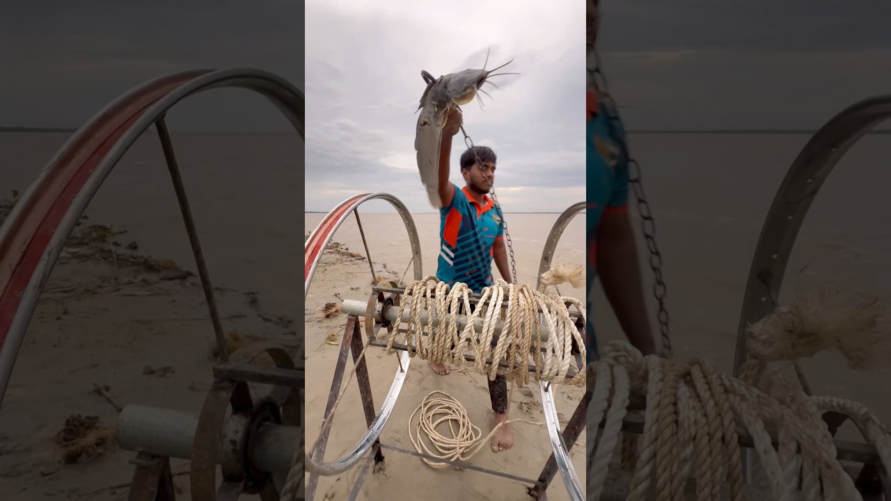 Catching Shark in River with Catfish Bait  #hook  #yarnroll  #shorts