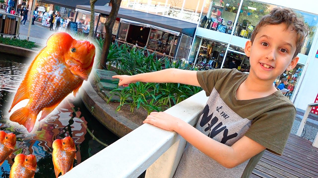 Paulinho Visita o Peixe Cabeçudo e Toquinho vai no Medico - Vídeo Infantil - Paulinho e Toquinho