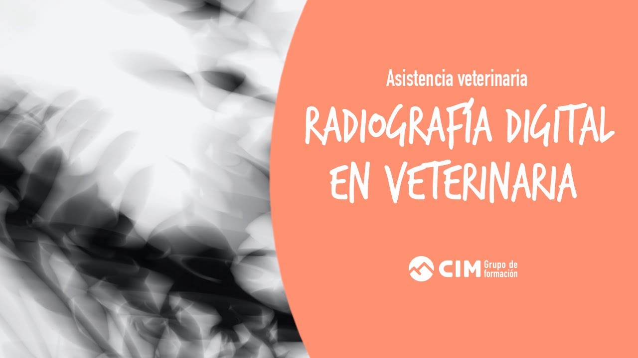 Radiograf&iacute;a digital en veterinaria | CIM Formaci&oacute;n