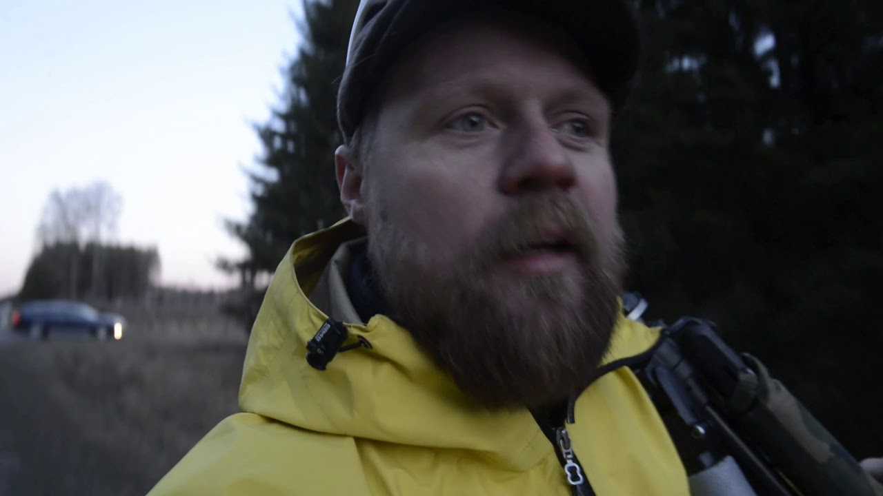 vlogg#6 i sökandet efter en lappuggla