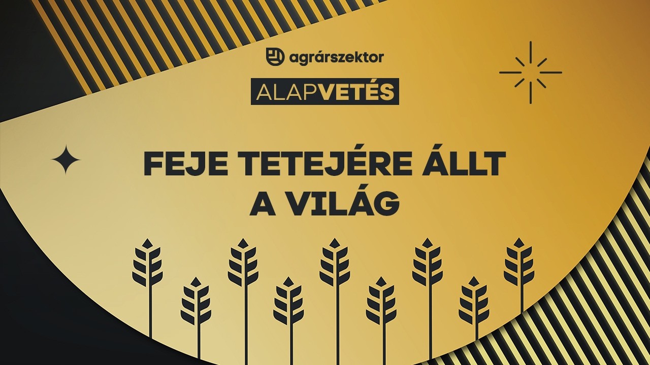 Feje tetejére állt a világ: ezt az egész gabonapiac megszenvedheti | Alapvetés