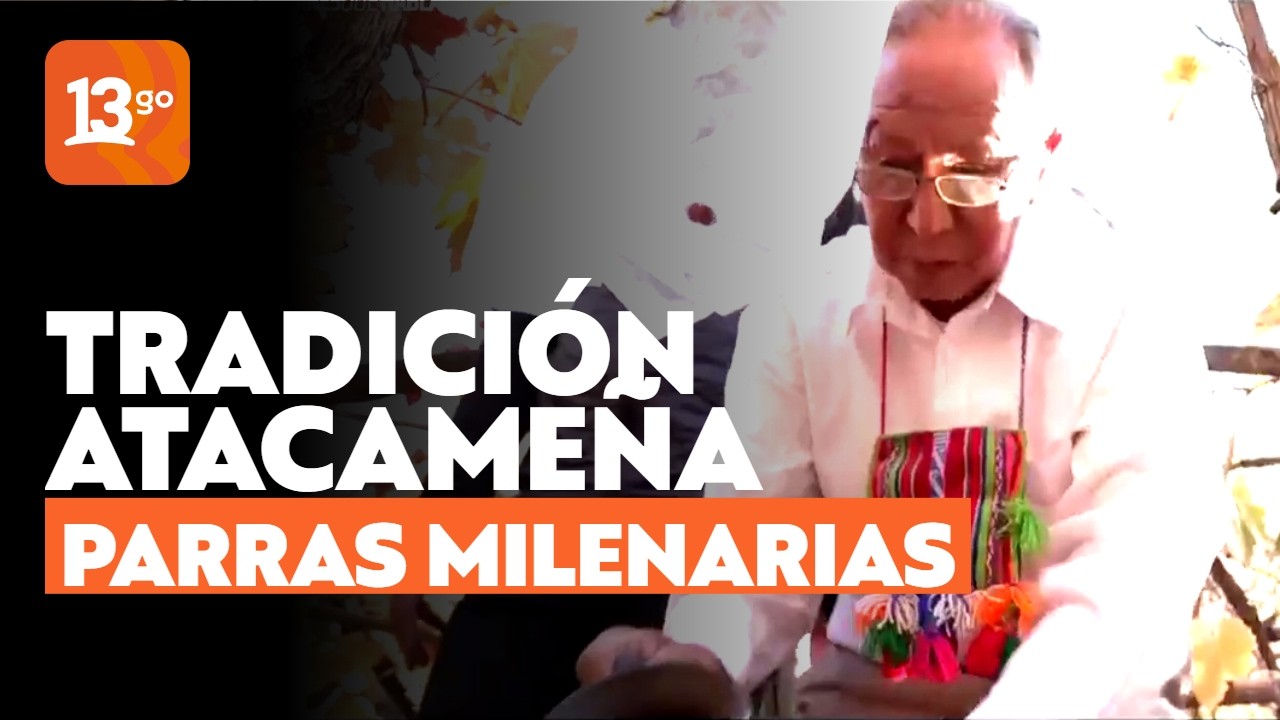 Las parras milenarias de los licanantay | Lugares que Hablan