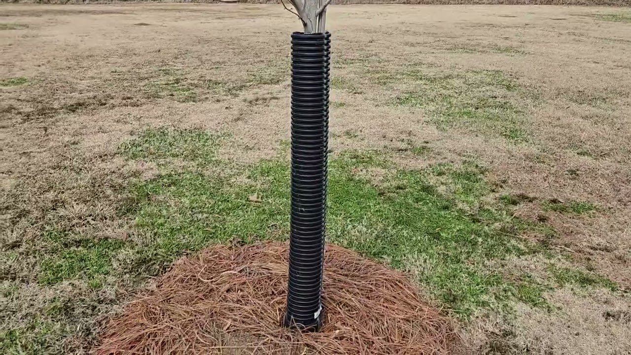 Ideas for Protecting Young Trees from Deer