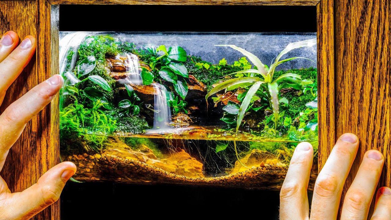 DIY Mini Marsh Waterfalls All-In-One Floating Terrarium