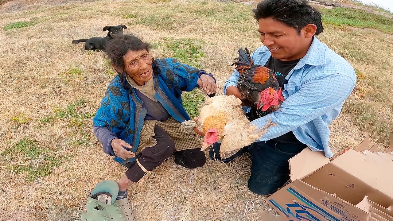 La Mujer que vive sola Recibe REGALOS DE GALLINAS - Tía Justina
