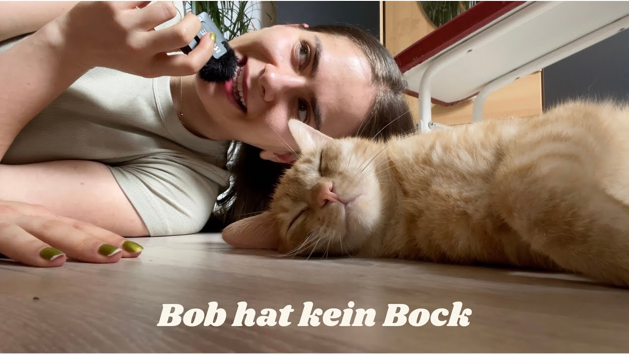 ASMR mit Bob aber er hat kein Bock