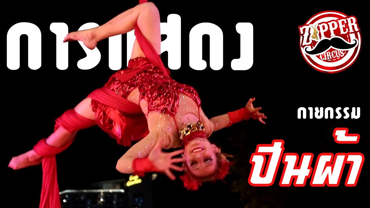 การแสดง กายกรรม ปีนผ้า Aerial Silk
