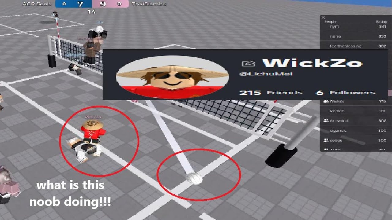 wickzo stop playing BLR | Roblox Volleyball 4.2 Montage