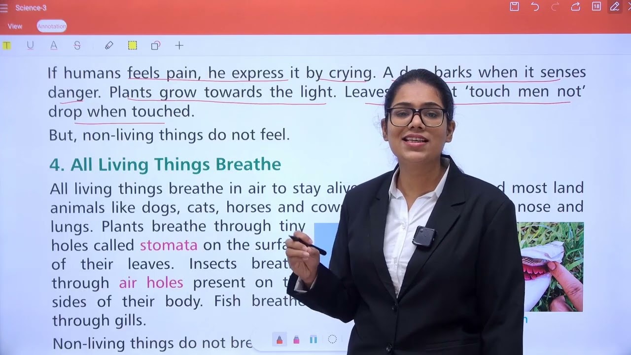 CHAPTER 1 LIVING AND NON-LIVING THINGS | SCIENCE 3
