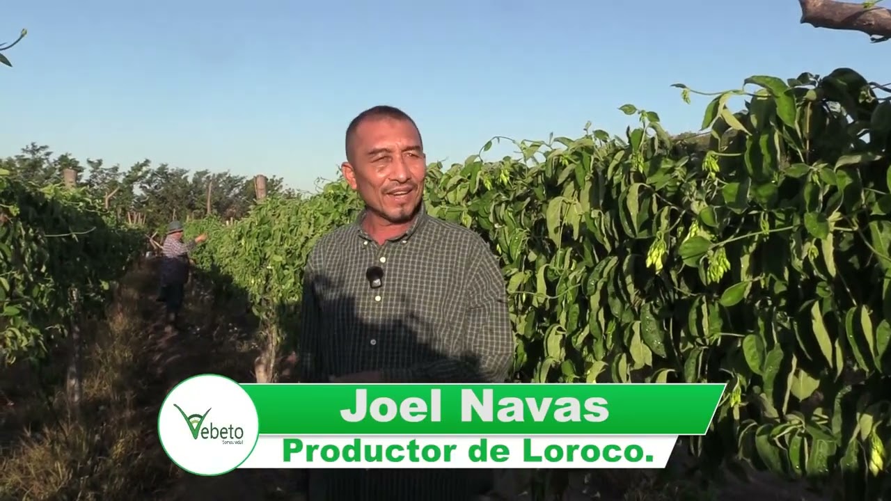 Joel Navas nos comparte su experiencia utilizando los productos #vebeto