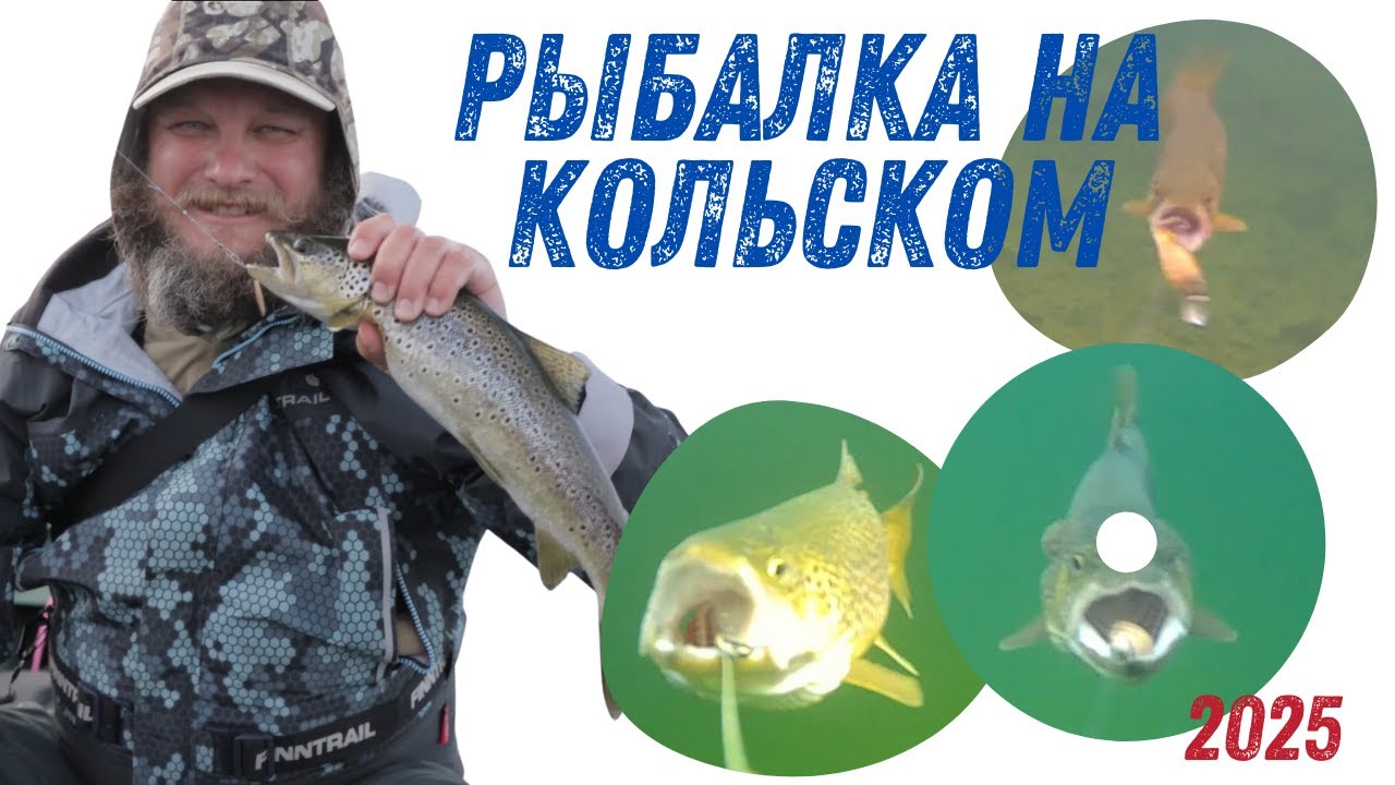 Рыбалка на кольском! 5 дней в палатке и куча позитива. Кумжа, голец поход на речку Харловка.