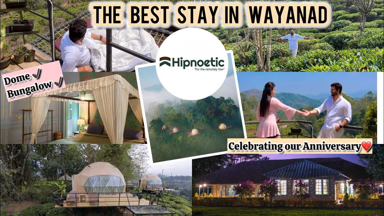 WAYANAD VLOG 🌿| Hipnoetic Stays|Celebrating our Anniversary ❤️| Couple vlog, Travel vlog, Room tour✨