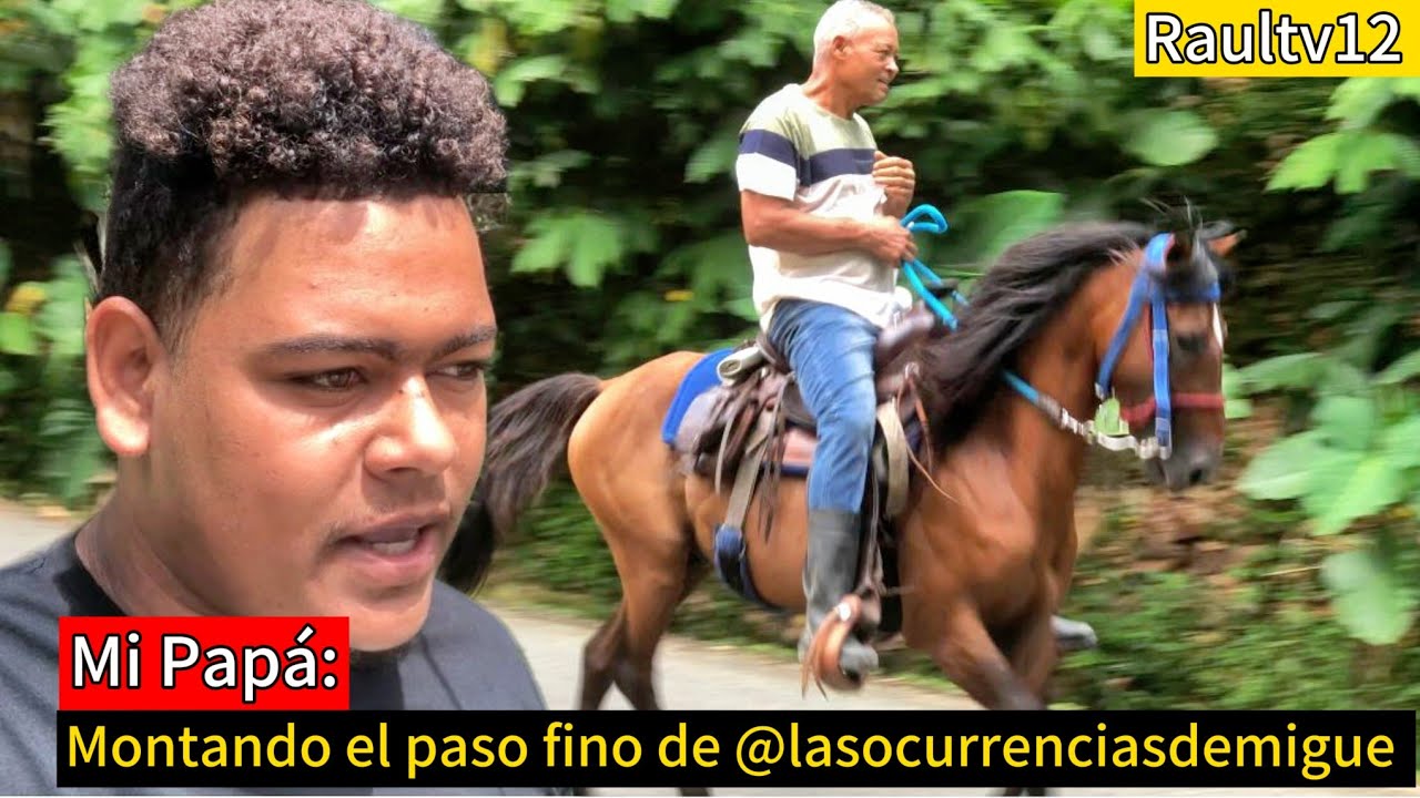 MI PAPÁ MONTA EL CABALLO PASO FINO DE LAS OCURRENCIAS DE MIGUE 🐎@LasocurrenciasdeMigue