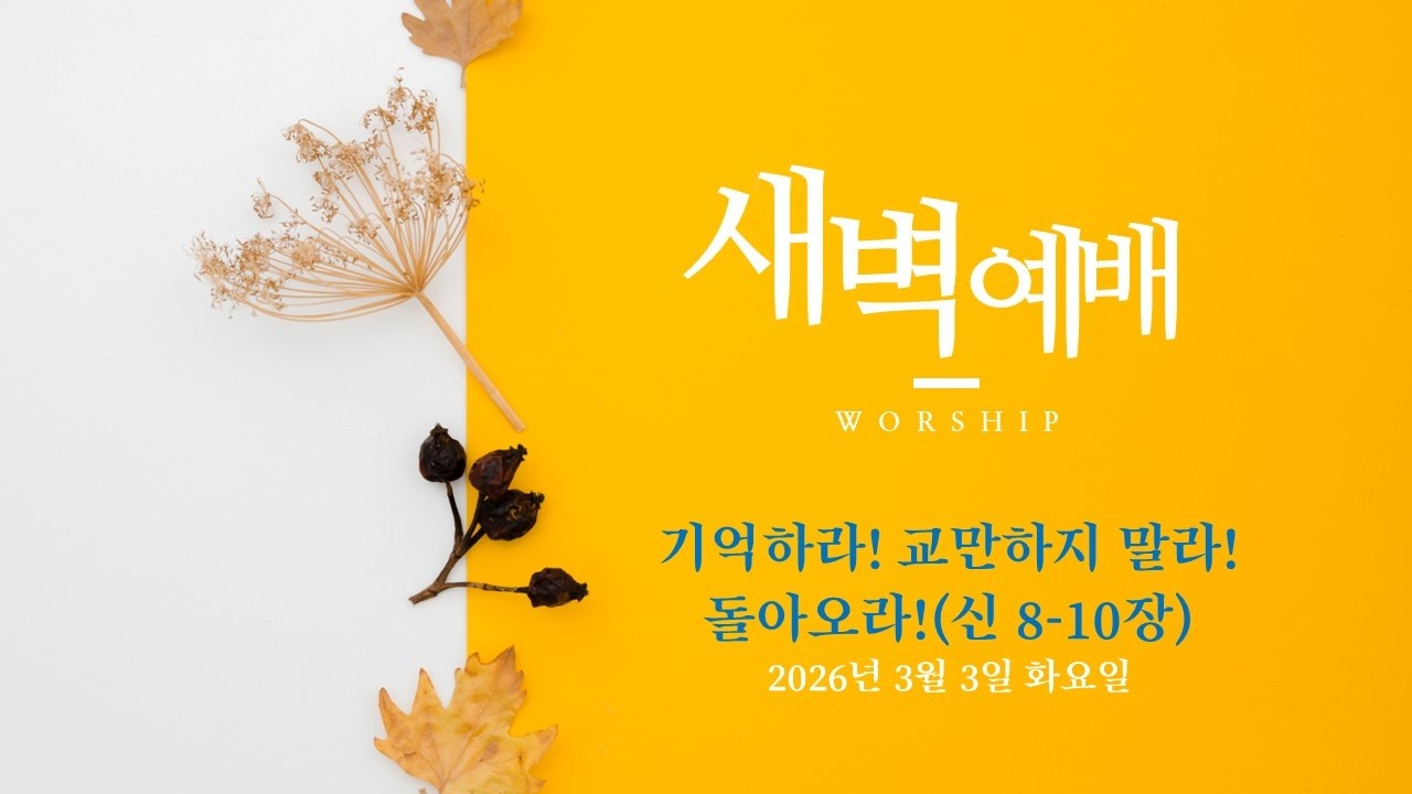 20260303 새벽 